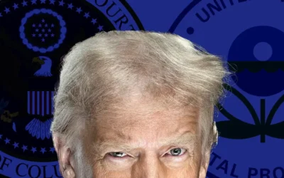 Landmark Files Brief With DC Circuit Court Of Appeals In Trump Criminal Contempt Case