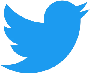 Twitter logo 300x247 1